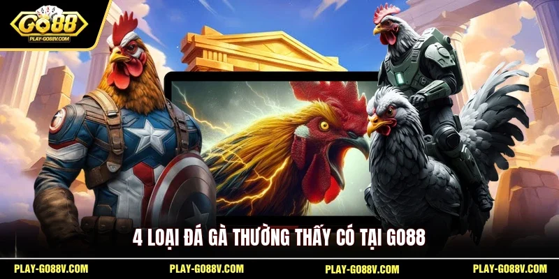 4 loại đá gà thường thấy có tại GO88