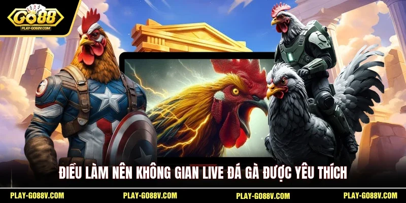 Điều làm nên không gian live đá gà được yêu thích
