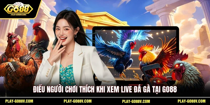Điều người chơi thích khi xem live đá gà tại GO88