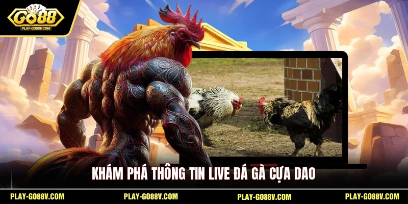 Khám phá thông tin live đá gà cựa dao