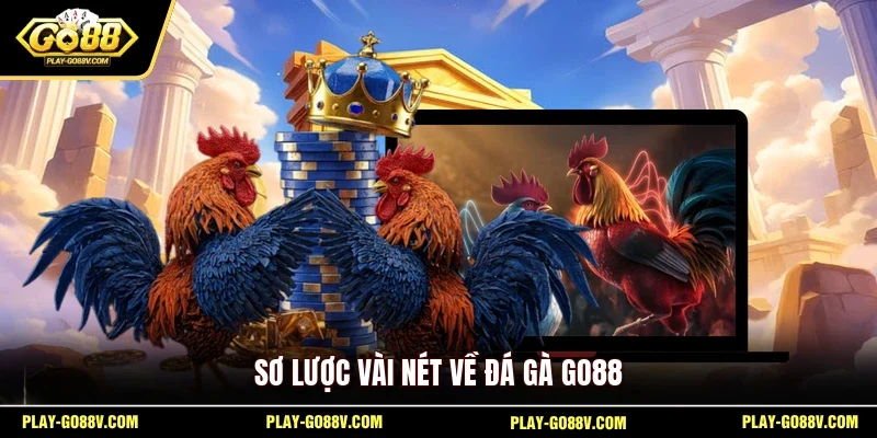 Sơ lược vài nét về đá gà GO88
