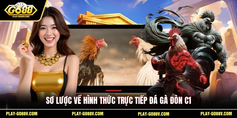 Sơ lược về hình thức trực tiếp đá gà đòn C1