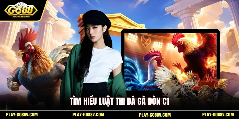 Tìm hiểu luật thi đá gà đòn C1